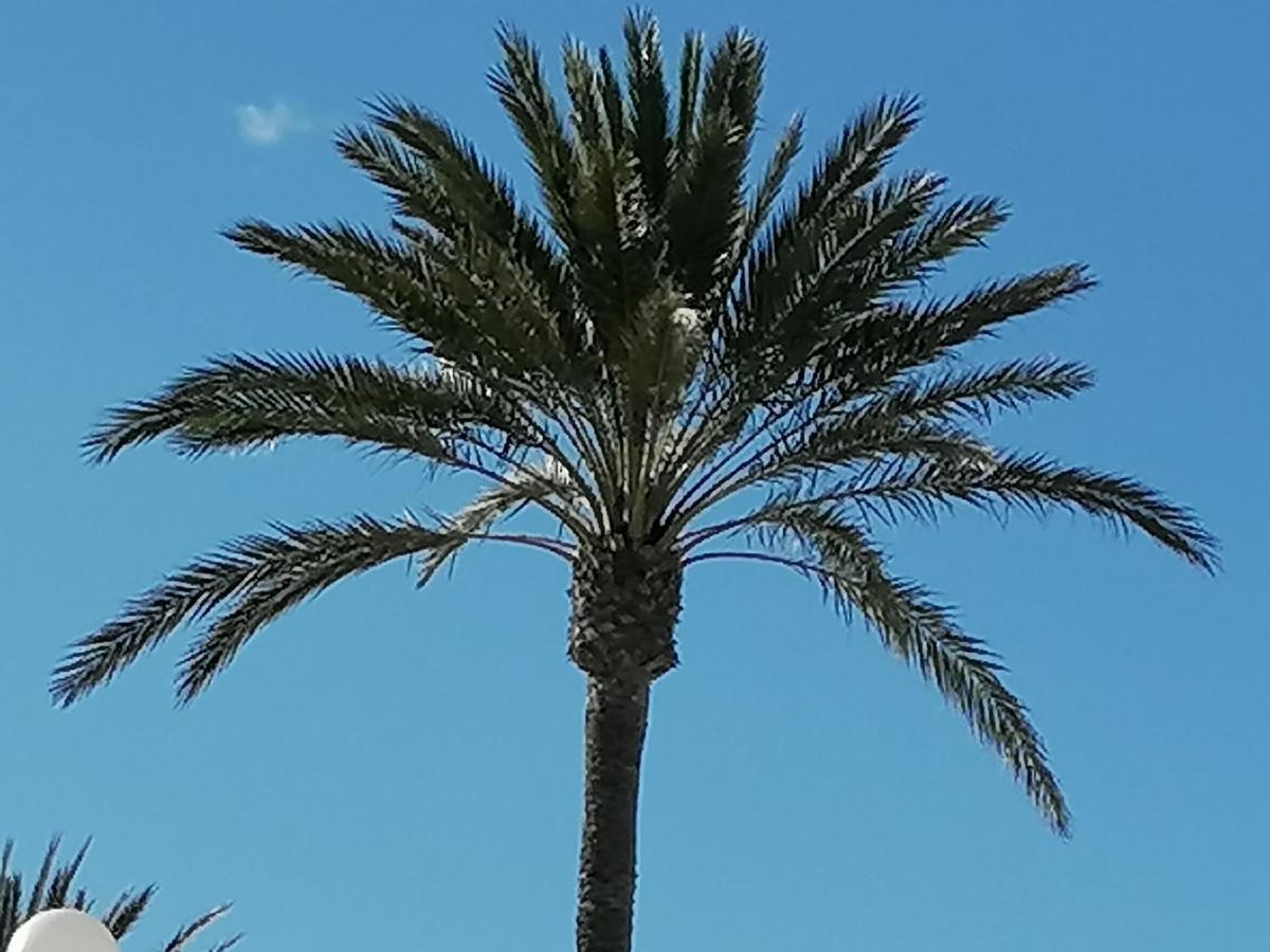 Apartament Mirador De Aguamarina Campoamor Zewnętrze zdjęcie